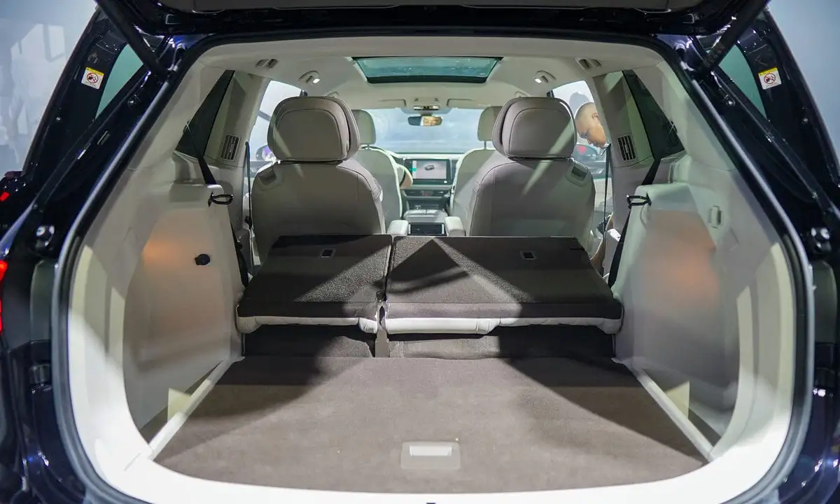 VW Viloran Luxury – Màu Đen 2025