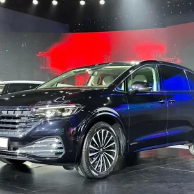 VW Viloran Luxury – Màu Đen 2025